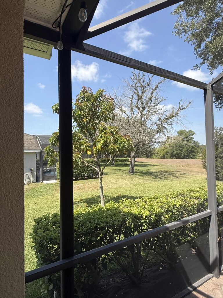 Clearwater pool screen enclosure repair